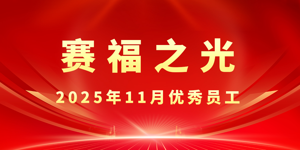 【赛福之光】2025年11月优秀员工先进事迹