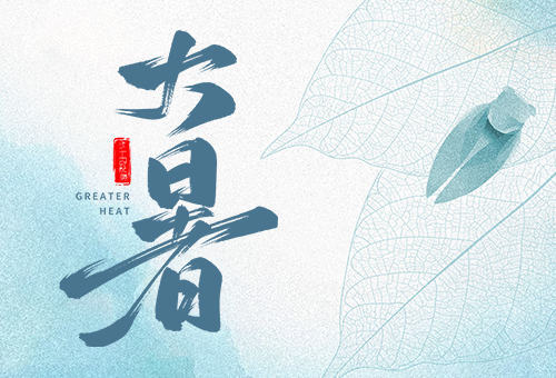 赛福丨蝉声鸣，夏正浓
