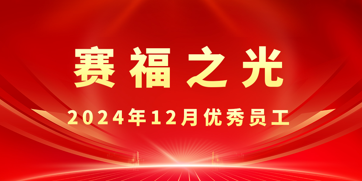 【赛福之光】2024年12月优秀员工先进事迹